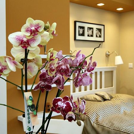 Orchidea Apartman 埃格尔 外观 照片