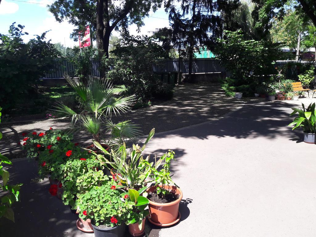 Orchidea Apartman 埃格尔 外观 照片